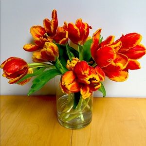 Meet your Posher, Larissa